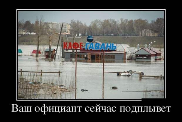 Демотиваторы (30 фото)