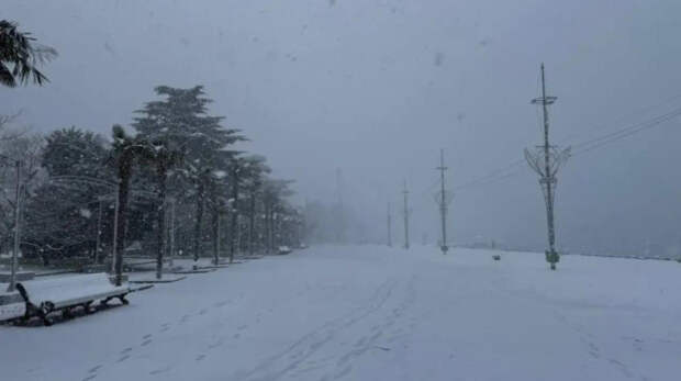 На Ялту обрушился снегопад: В город направлены дополнительные силы для очистки дорог