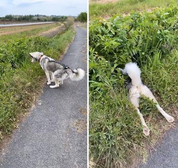 Бум! Бум!