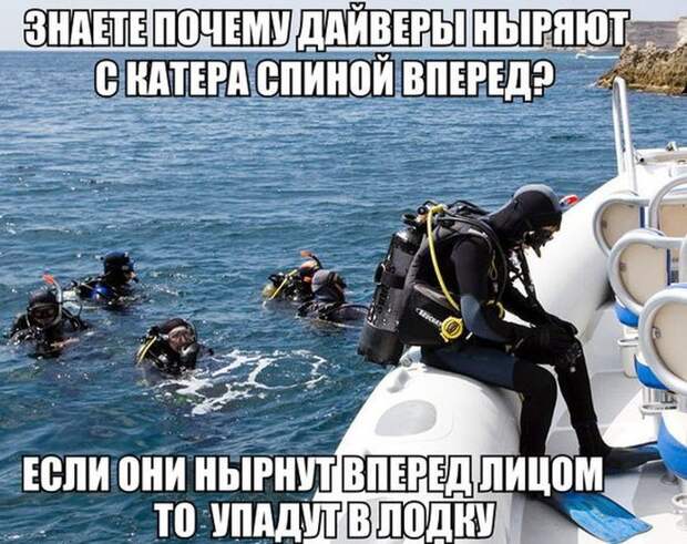 Подборка новых смешных фотографии приколы, юмор