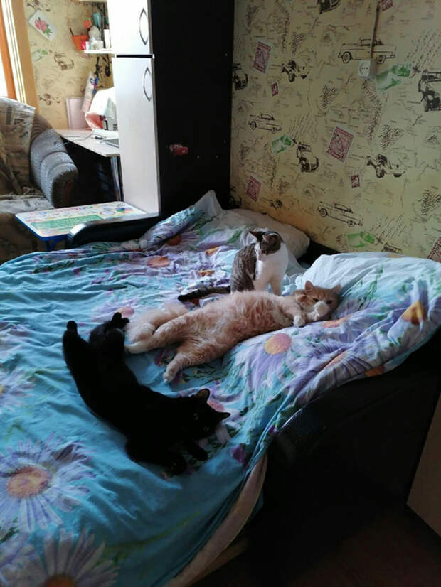 LHSGN9d1jP0 (525x700, 373Kb)