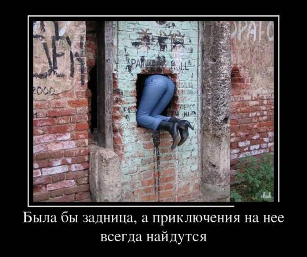 Демотиваторы