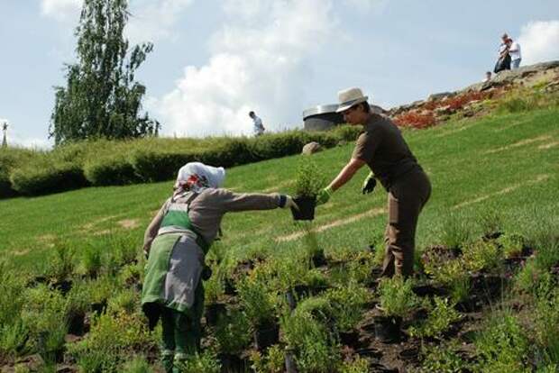 Петрушка и сельдерей могут нанести вред здоровью человека, рассказал дерматовенеролог