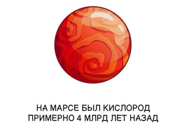 Интересные факты на все случаи жизни