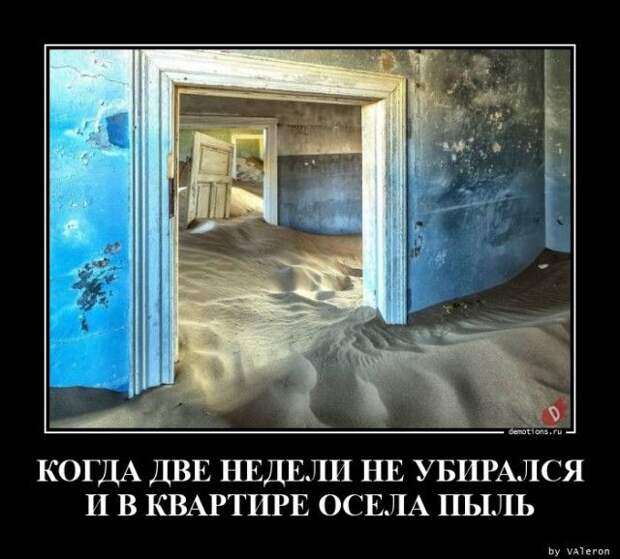 1599633800_demy-10.jpg