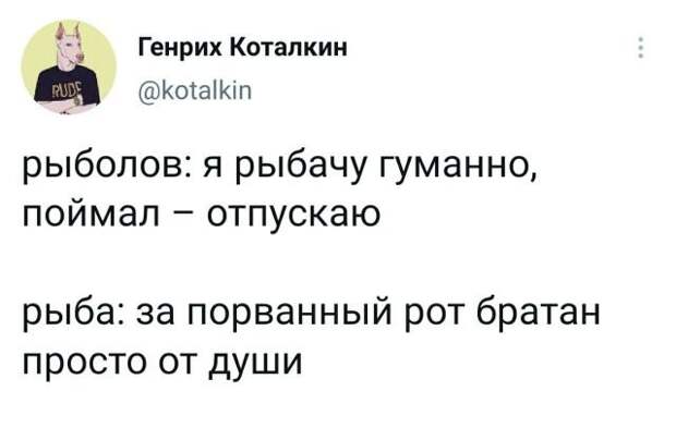 твит про рыбу