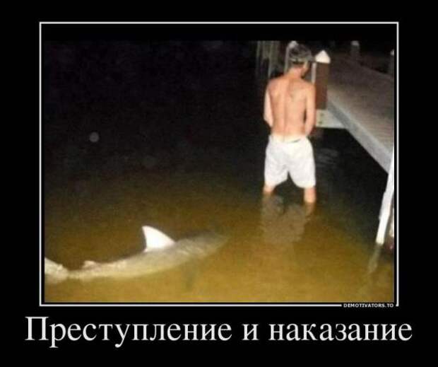 Немного новых демотиваторов