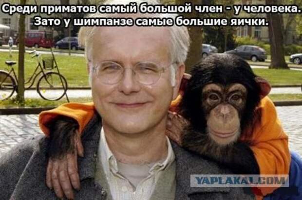 http://s00.yaplakal.com/pics/pics_original/8/6/5/182568.jpg