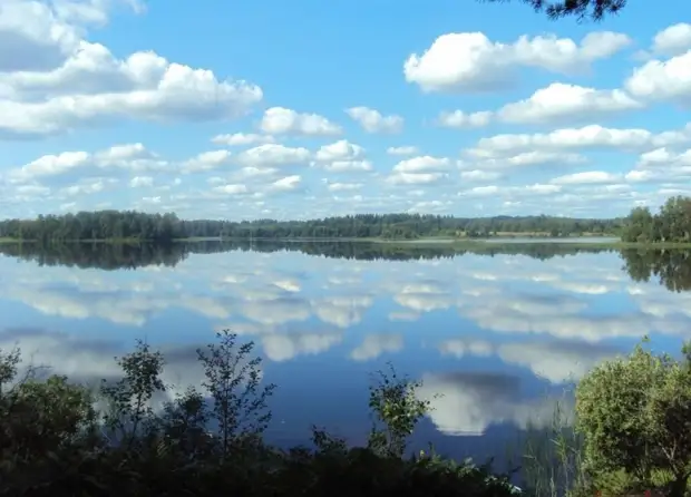 Раскрыта тайна "русской Несси" из озера Бросно в Тверской области