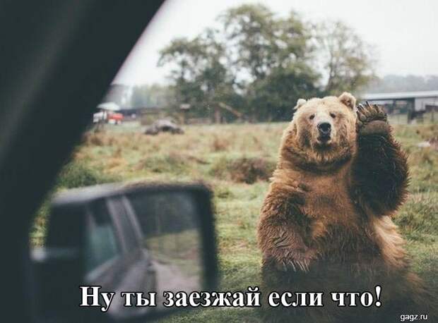 145654_smeshnaya_podborka_kartinok_s_nadpisyami_gagz_ru