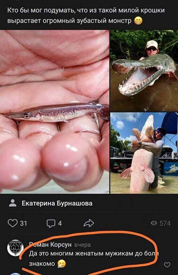 Подборка замечательных весёлых картинок