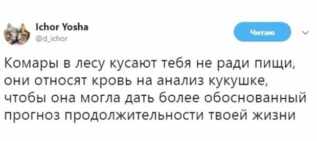 Высказывания и наблюдения для вашего настроения Высказывания и наблюдения для вашего настроения
