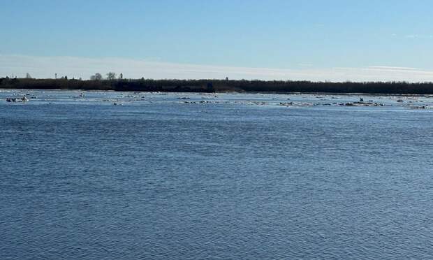 15 апреля на акватории порта Архангельск ожидается прохождение редкого ледохода