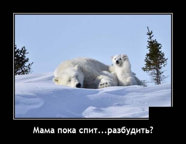 Демотиваторы 18 августа 2021
