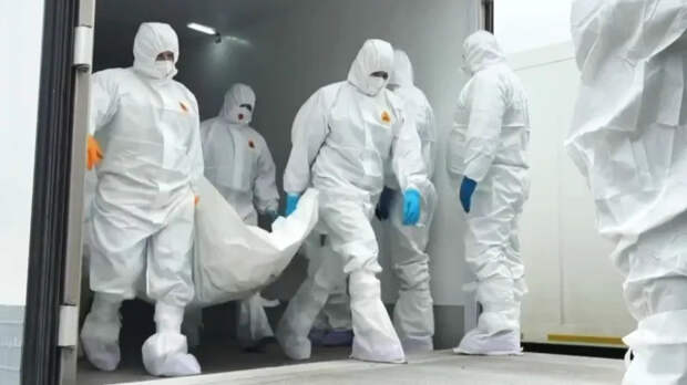 На Украине разоблачили ложь Зеленского о потерях ВС РФ