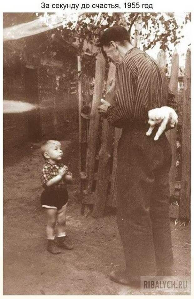 воскресный юмор