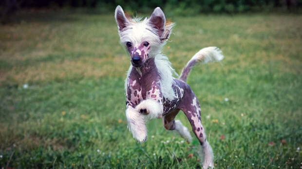 Ненужное сокровище