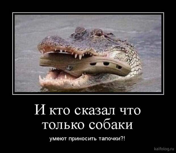 Просто демотиваторы (40 штук) Просто демотиваторы (40 штук)