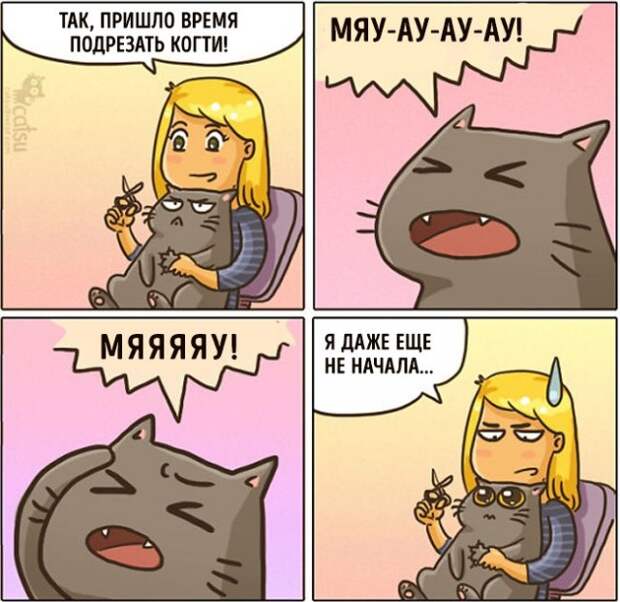 Как меняется жизнь с появлением в доме кота (20 картинок)