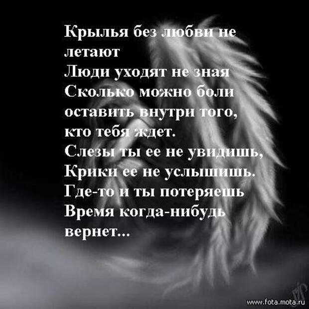 Крыла стих. Стих про Диану. Стихи про Крылья. Стих про Диану про любовь. Стихи на крыльях любви.