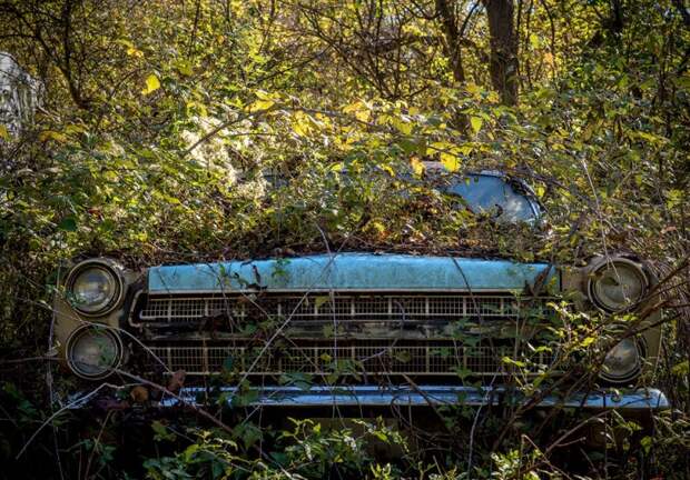 Заснувший на природе в Западной Вирджинии. брошенные авто, фотограф, фотографии