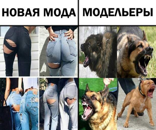 Подборка новых смешных фотографии приколы, юмор