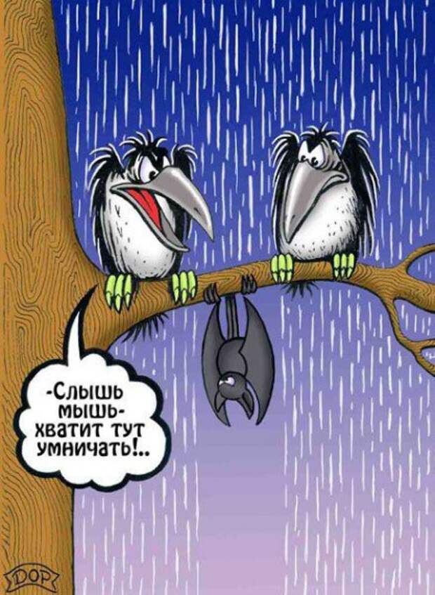 Юмор в картинках Юмор в картинках