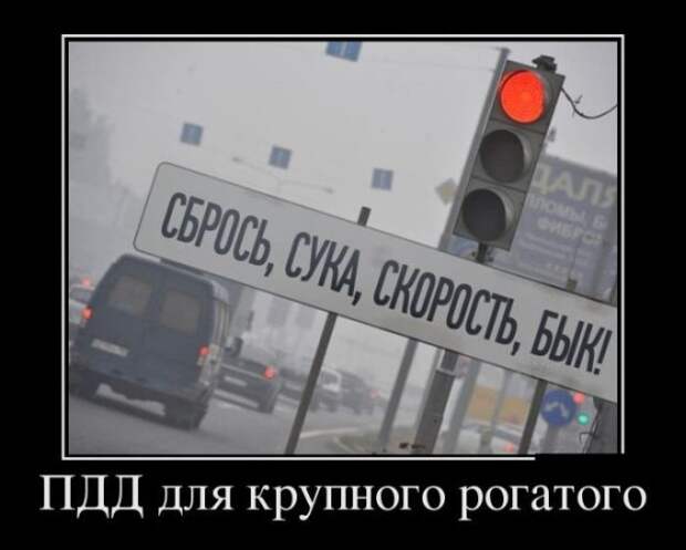 Веселые и прикольные демотиваторы для хорошего настроения (11 фото)