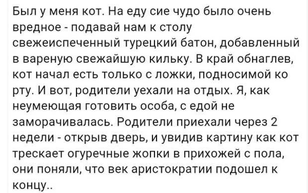 Смешные комментарии из социальных сетей Смешные комментарии из социальных сетей