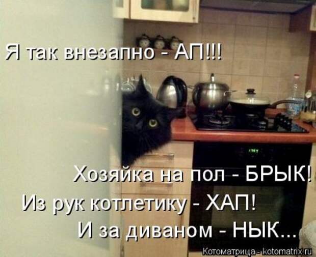 Новая котоматрица (44 шт)