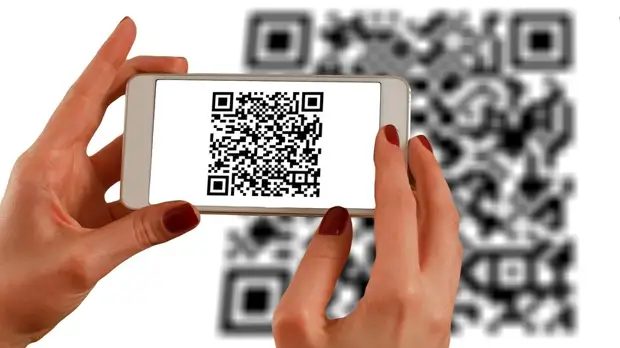 В Свердловской области с 8 ноября вводится система QR-кодов