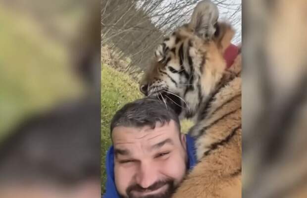 Блог - Видео: как животные встречают своих хозяев после долгой разлуки Видео: как животные встречают своих хозяев после долгой разлуки