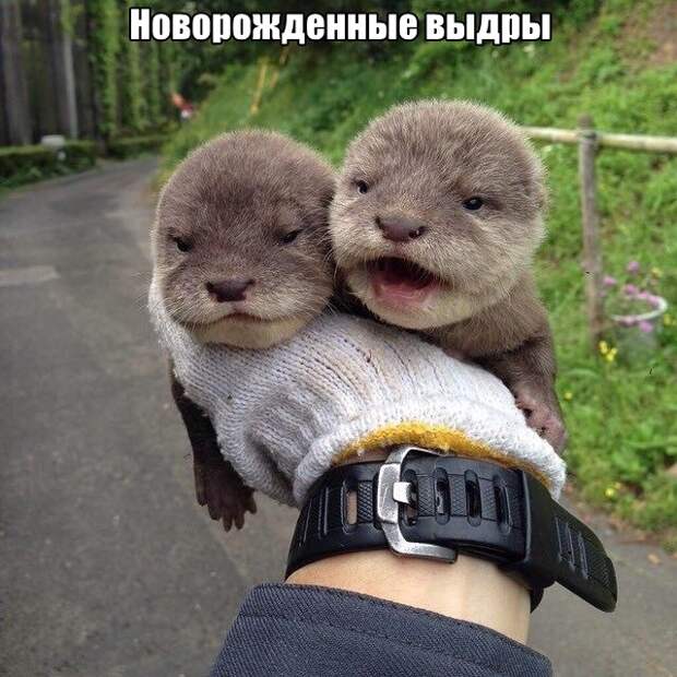 Подборка картинок. Вечерний выпуск (30 фото)