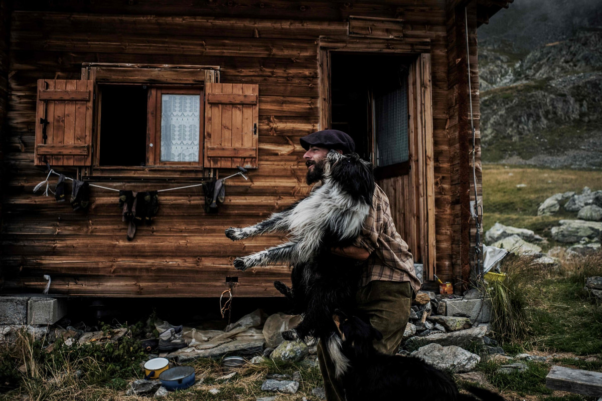 Фоторепортаж о жизни пастуха в Альпах