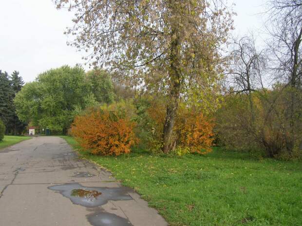 Прогулки по Москве. Осень в Ботаническом саду.