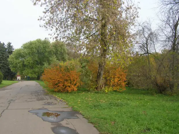 Прогулки по Москве. Осень в Ботаническом саду.