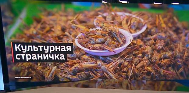 В Европе в еду пошли сверчки и личинки. Клопы и тараканы напряглись