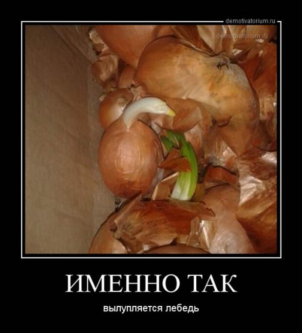 Демотиваторы-приколюхи (23 шт)