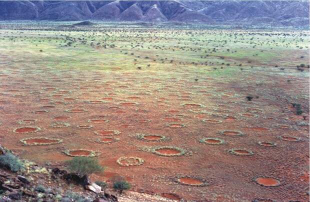 Волшебные круги Намибии
