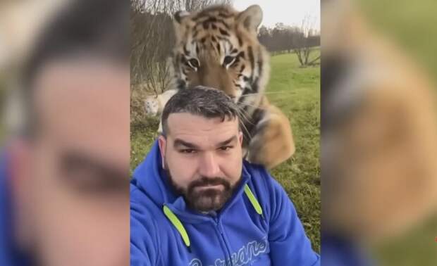 Блог - Видео: как животные встречают своих хозяев после долгой разлуки Видео: как животные встречают своих хозяев после долгой разлуки