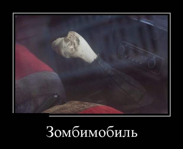 Демотиваторы (30 фото)