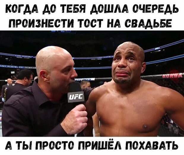 Прикольные и смешные картинки Прикольные и смешные картинки