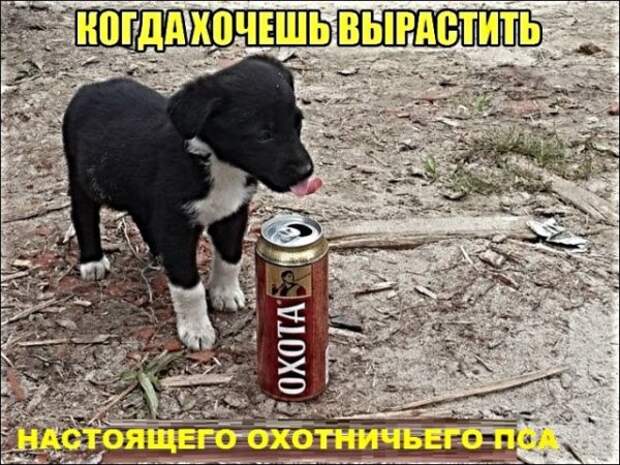Картинки с надписями и анекдоты