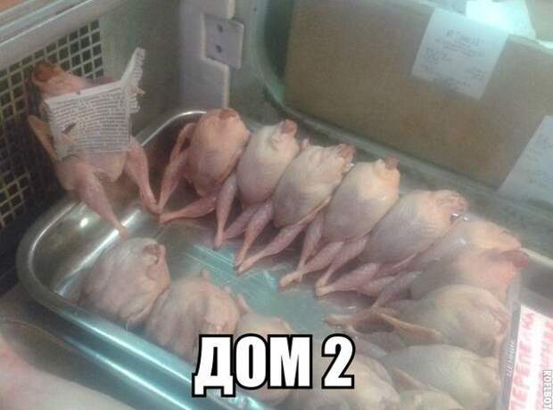 Всё в кучу 26
