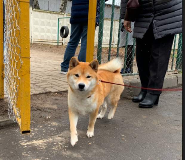 Фото Надежды Перфиловой