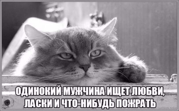 Так себе картинки