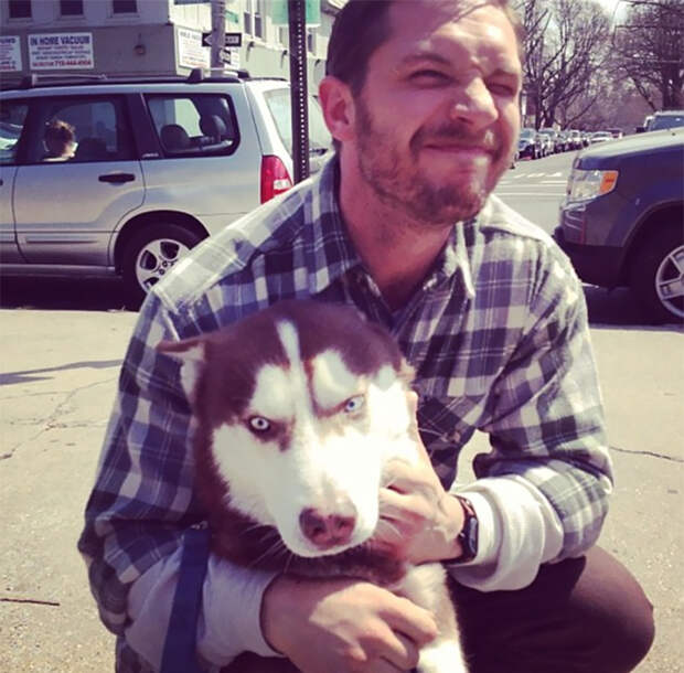 https://sobakibalabaki.com/wp-content/uploads/2017/09/love-for-dogs-tom-hardy-23-59bf837029beb__700.jpg