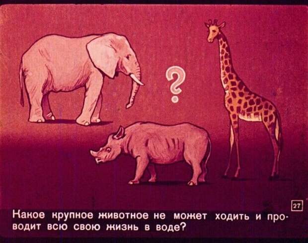 Диафильм вместо учебника по географии