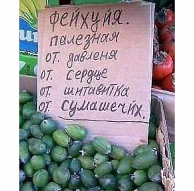 76a4d9d9fc66.jpg