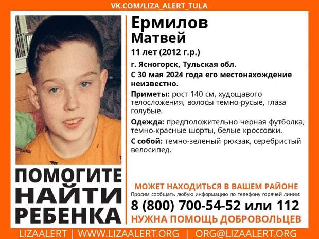 В Ясногорске волонтеры начали поиск пропавшего 11-летнего Матвея Ермилова